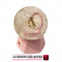 La Maison des Boîtes - Petite Boule de Neige Lumineuse pour une demande de mariage - Tunisie Meilleur Prix (Idée Cadeau, Gift Bo