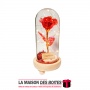 Rose Artificielle avec Lumières LED & Socle en Bois - Cadeau pour la Saint-Valentin