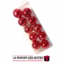 La Maison des Boîtes - 10 Guirlandes Lumineuses de Décoration pour fête à la maison - Rouge - Tunisie Meilleur Prix (Idée Cadeau