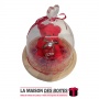 La Maison des Boîtes - Ours en Rose Rouge sous Cloche avec Ruban satiné Rouge - Tunisie Meilleur Prix (Idée Cadeau, Gift Box, Dé