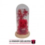 La Maison des Boîtes - Ours & Rose Rouge sous Cloche en verre - Tunisie Meilleur Prix (Idée Cadeau, Gift Box, Décoration, Souten