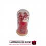 La Maison des Boîtes - Ours & Rose Rouge sous Cloche en verre - Tunisie Meilleur Prix (Idée Cadeau, Gift Box, Décoration, Souten