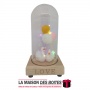 La Maison des Boîtes - Décoration pour 2 Canards Sous Cloche en verre & socle en bois - Tunisie Meilleur Prix (Idée Cadeau, Gift