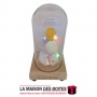 La Maison des Boîtes - Décoration pour 2 Canards Sous Cloche en verre & socle en bois - Tunisie Meilleur Prix (Idée Cadeau, Gift