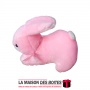 La Maison des Boîtes - Lapin en Peluche Musicale  pour Saint-Valentin   - Rose - Tunisie Meilleur Prix (Idée Cadeau, Gift Box, D