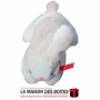 La Maison des Boîtes - Lapin en Peluche Musicale  pour Saint-Valentin  - Blanc - Tunisie Meilleur Prix (Idée Cadeau, Gift Box, D