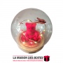 La Maison des Boîtes - Ours en Rose Rouge sous Cloche pour Saint-valentin - Tunisie Meilleur Prix (Idée Cadeau, Gift Box, Décora