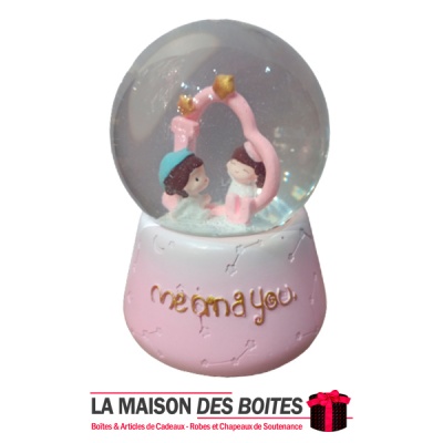 Boule de Cristal Fleurs Lumineuse 3D - Maison & Bijoux