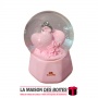 La Maison des Boîtes - Boule de Neige Musicale Lumineuse pour Saint-valentin "Demande de Mariage" - Rose - Tunisie Meilleur Prix