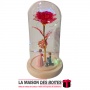 La Maison des Boîtes - Rose Eternelle de la Galaxie enchantée 24K en feuille d'or - Rouge - Tunisie Meilleur Prix (Idée Cadeau, 